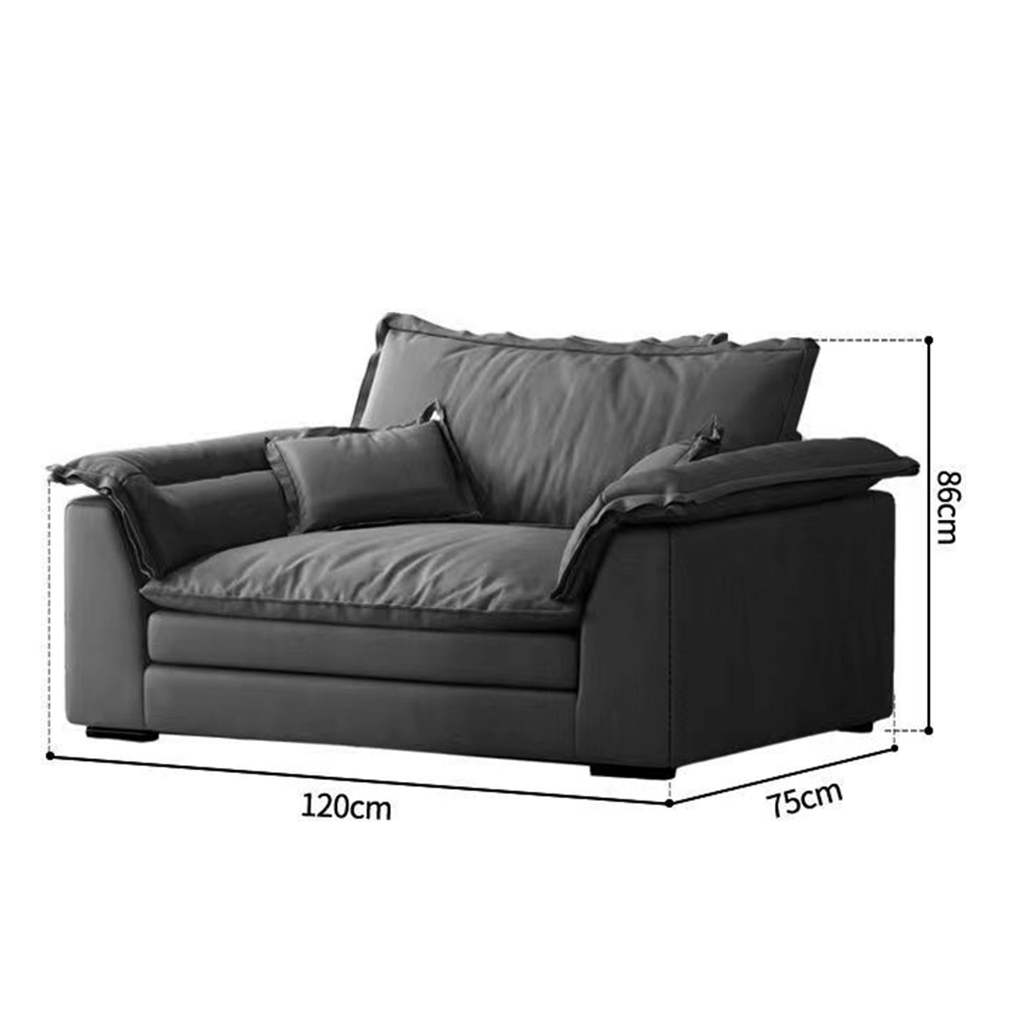 Living Room Single Sofa