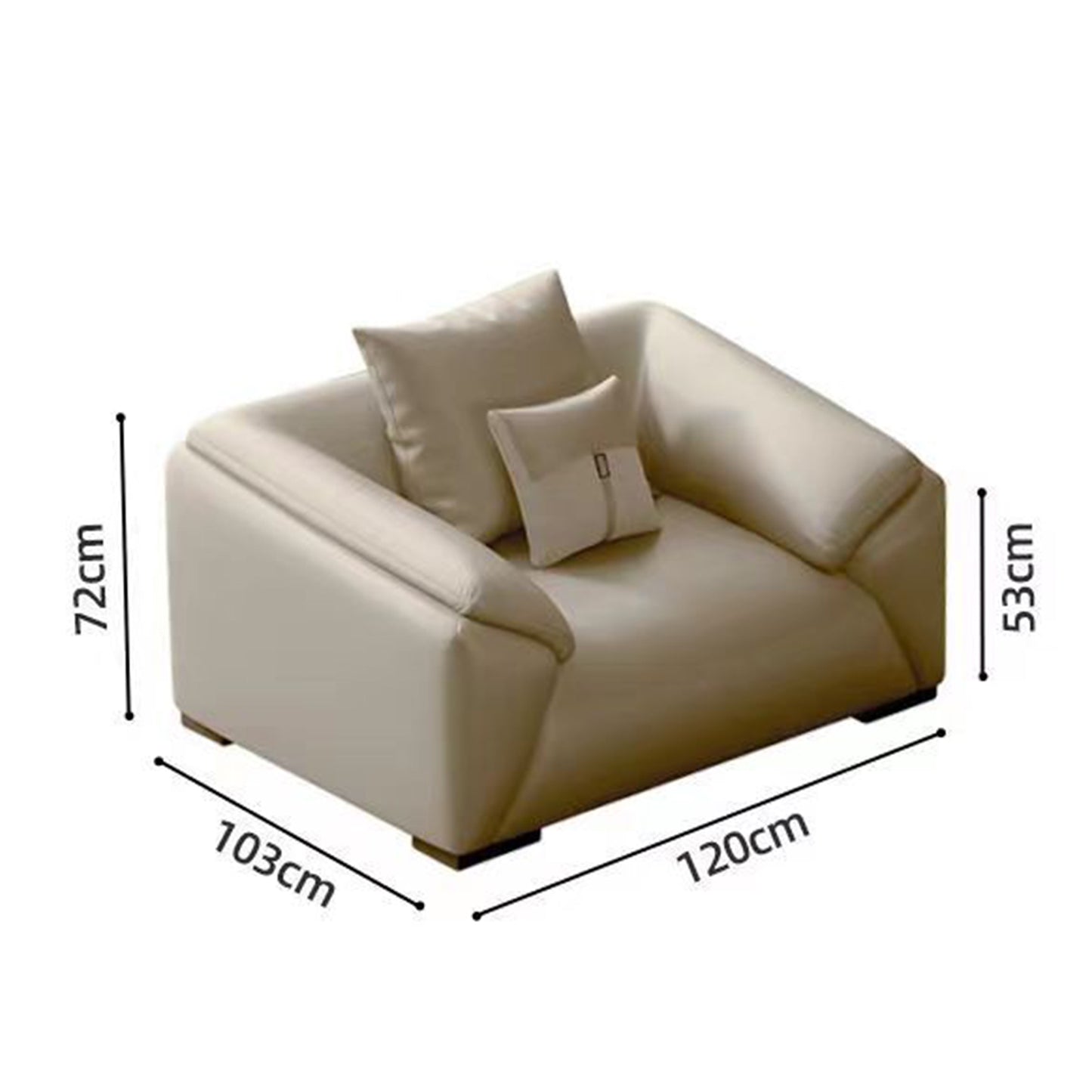 Living Room Single Sofa